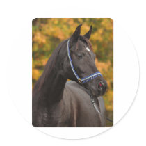 The Noble Arabian Round Sticker
