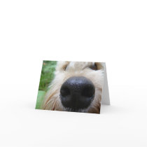 The nose knows! greeting card