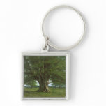 The Oak of Flagey, called Vercingetorix keychains