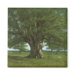 The Oak of Flagey, called Vercingetorix magnets