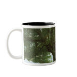 The Oak of Flagey, called Vercingetorix mugs