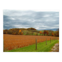 The Ohio Valley postcards