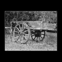 The old cart postcards
