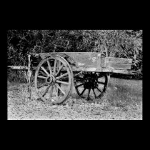 The old cart posters