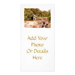 THE OLD GOLD MINE photo cards