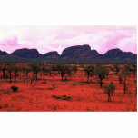 The Olgas in the distance, Australia Desert Acrylic Cut Out