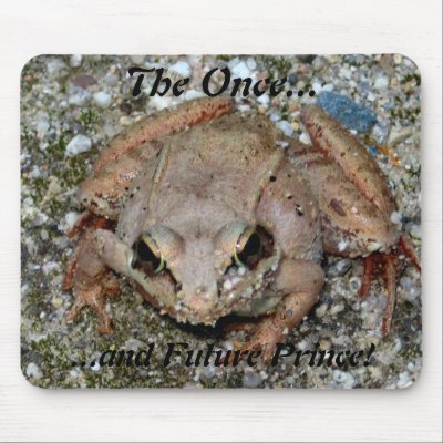 The Once... and Future Prince! Mouse Mats by HaynzDesigns