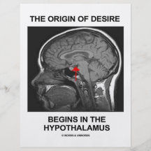 The Origin Of Desire Begins In the Hypothalamus Flyer Design