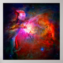 The Orion Nebula -2009