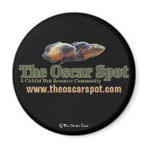 The Oscar Spot Fridge Magnet