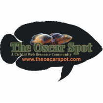 The Oscar Spot Cut Outs