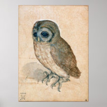 THE OWL