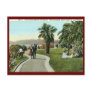The Palisades, Santa Monica Vintage Post Cards