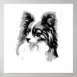 THE PAPILLON posters