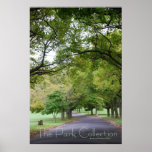 The Park Collection - Winding Path posters
