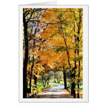 The Path Cards