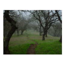 The Path Postcard