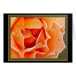 The Peach Rose Card