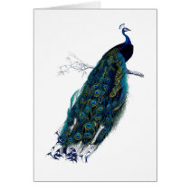 The Peacock Collection Card