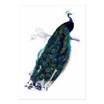 The Peacock Collection Gift Tag Business Cards