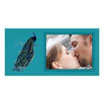 The Peacock Collection Wedding Photo Photo Cards