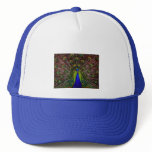 The Peacock Trucker Hat