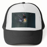 The Penguin Plunge Mesh Hat