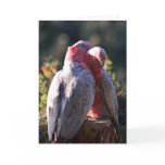 The Perfect Day - Valentine cards