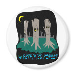 The Petrified Forest magnets