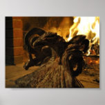 The Phoenix on Fire posters