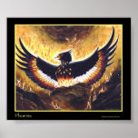 The Phoenix Rising posters