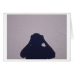 The photographer cards