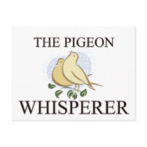 The Pigeon Whisperer