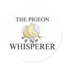 The Pigeon Whisperer