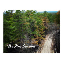 The Pine Barrens Postcards