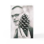 The Pinecone cards