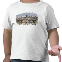 The Pink Ladies Victorian style houses in the Shirt