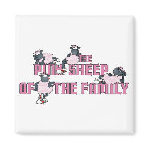 The Pink Sheep Magnet