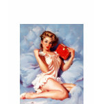 The Pinup tee t-shirts