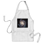 The Pinwheel Galaxy NGC 5457 Messier 101 aprons