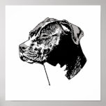THE PIT BULL posters