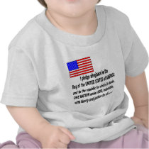 the pledge of allegiance