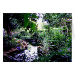 the pond card