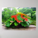 "The Pond" Poster Or Print