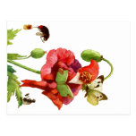 The Poppy Gnome Postcards