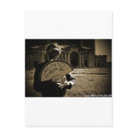 The Post-Apocalyptic Princess by April A Taylor Postcards