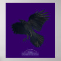 The Power of One Flying Crow Art Poster posters