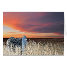 The Prairie Greeting Cards