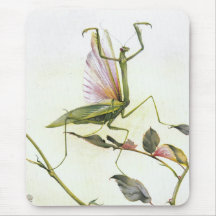 THE PRAYING MANTIS MOUSE PAD