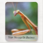The Praying Mantis Mousepads